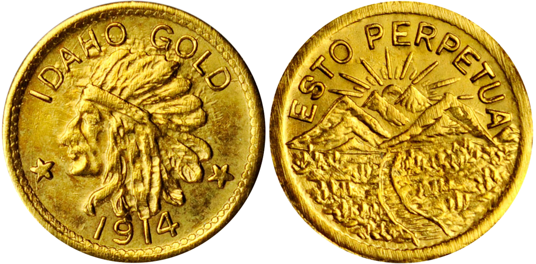 A collection of rare coins from Idaho