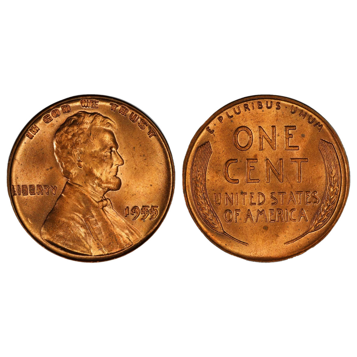 Read more about the article What’s My “Double Stamped” Coin Worth? A Guide to Mint Errors