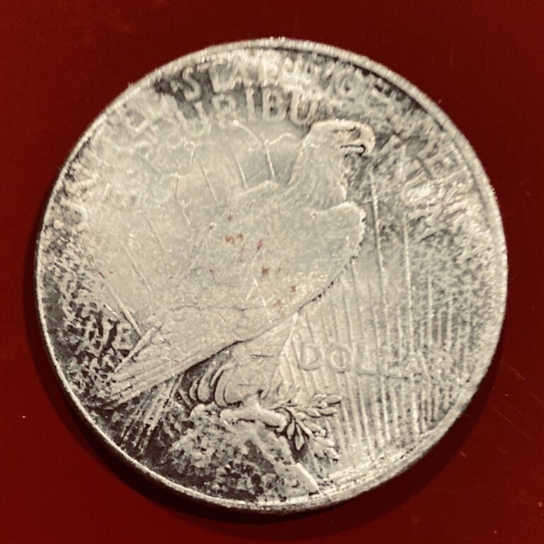 Counterfeit Peace silver dollar, reverse