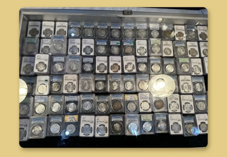 Dealer display case filled with rows of graded silver dollars in plastic holders at a coin show