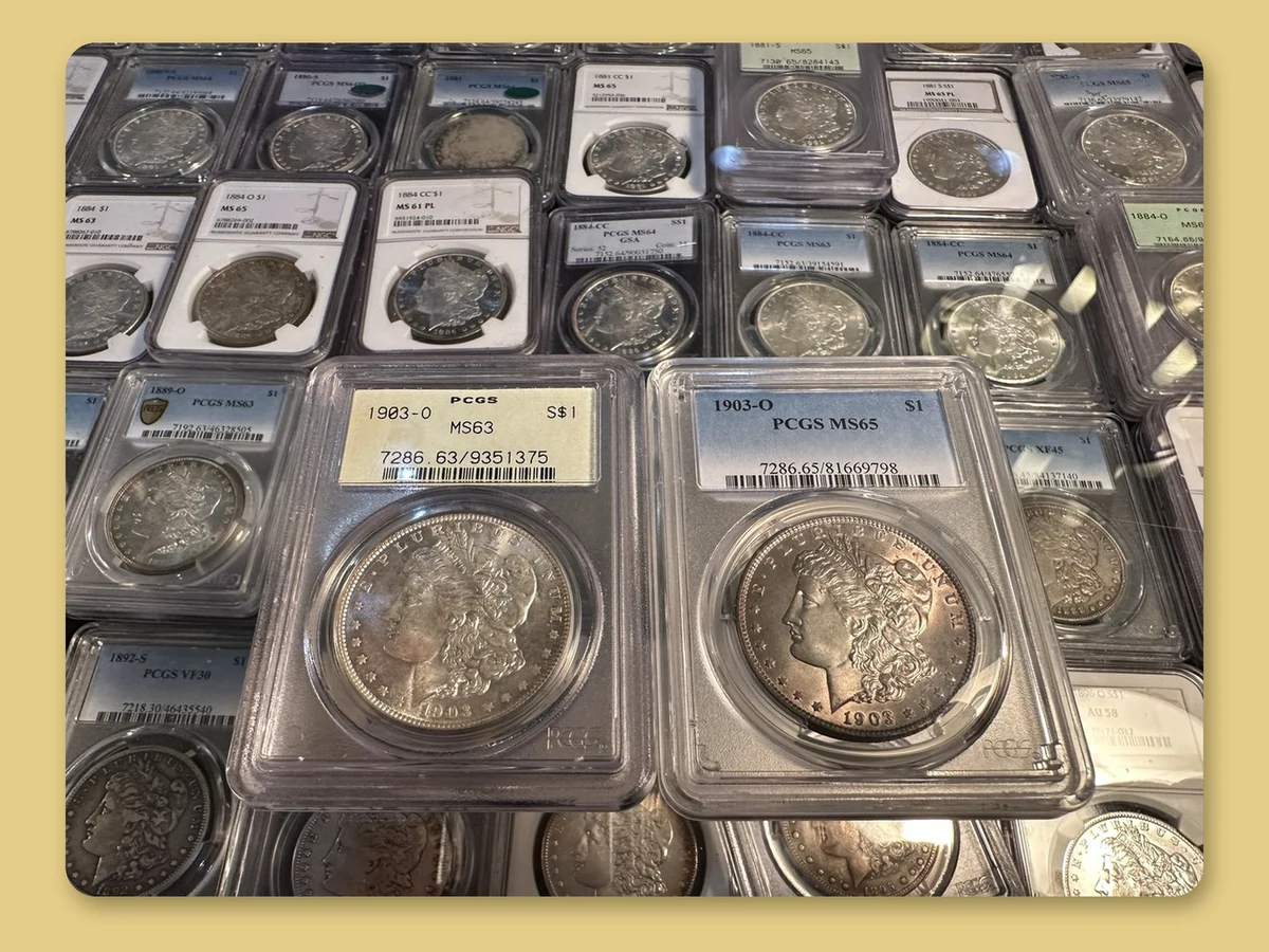 Morgan silver dollars in sealed third-party grading holders laid out on a dealer table