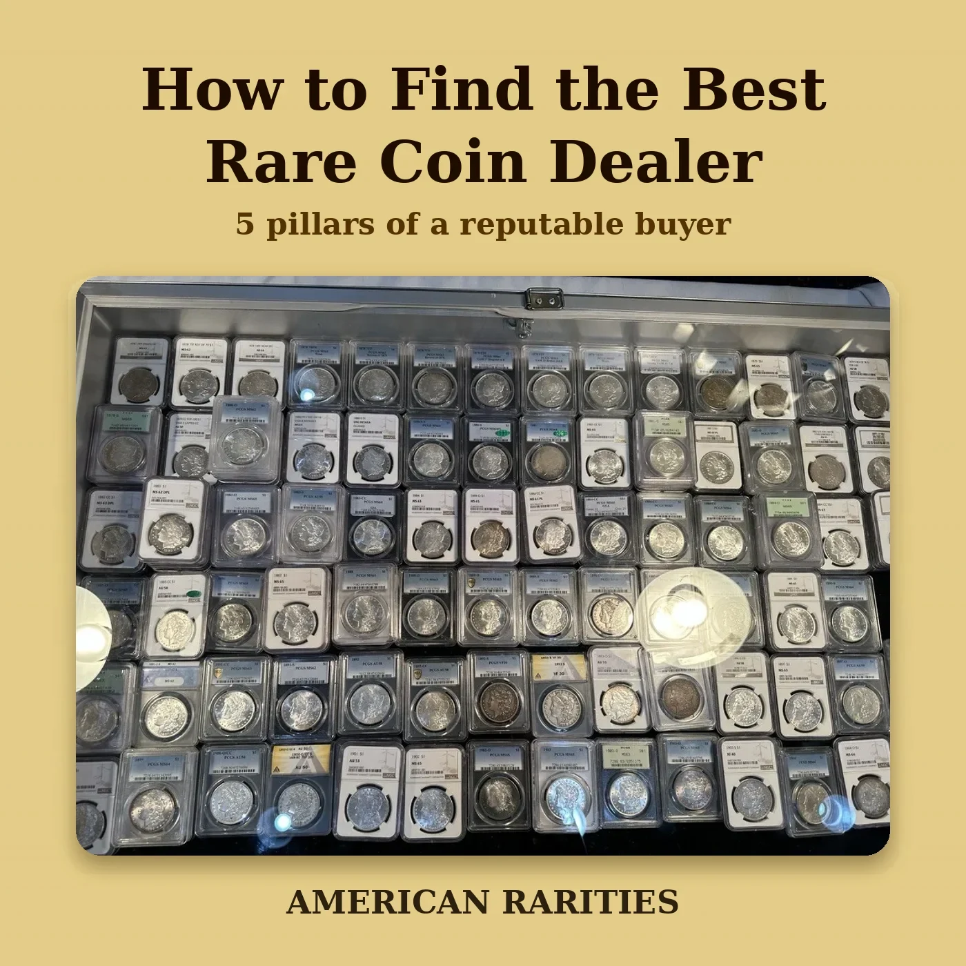 Read more about the article How to Find the Best Rare Coin Dealer: 5 Key Steps
