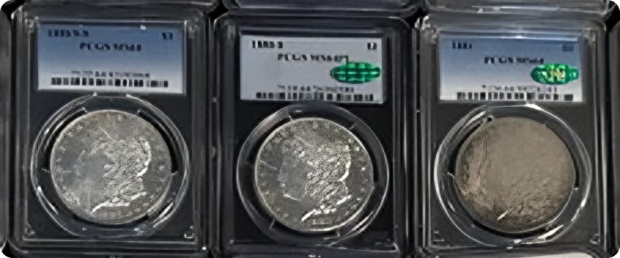 PCGS graded Morgan silver dollars with green CAC stickers in a dealer case