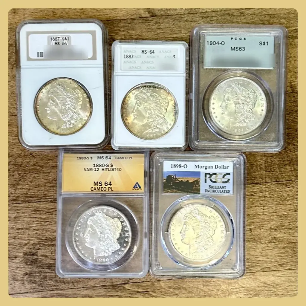 Five Morgan silver dollars sealed in NGC, ANACS and PCGS grading holders on a wooden table