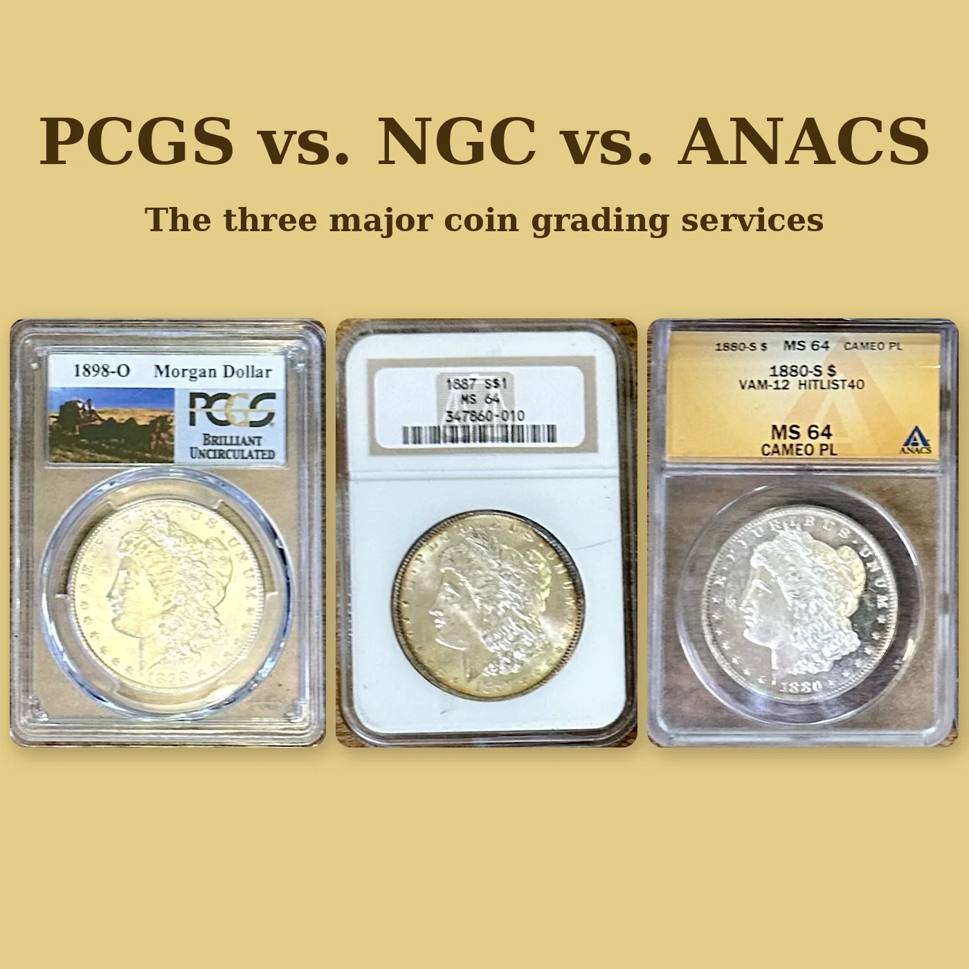 Read more about the article Understanding the Differences: PCGS, NGC, and ANACS – The Three Major Rare Coin Grading Services