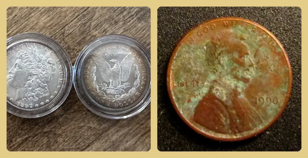 Two toned Morgan silver dollars in coin capsules beside a corroded 1990 Lincoln cent covered in green verdigris and pitting from moisture