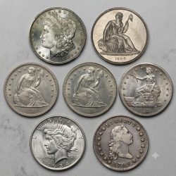 Everything you need to know about the types of silver dollars that have been struck in the United States.