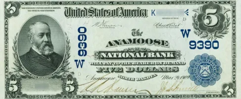 The-Anamoose-National-Bank,-North-Dakota-$5-Note A rare National Bank Note from Anamoose, an item appraised by a professional North Dakota coin dealer.