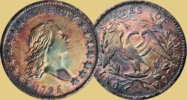 toned-coins-1795-flowing-hair-half-dollar-web toned-coins-1795-flowing-hair-half-dollar-web
